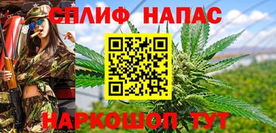 молекула духа Обнинск
