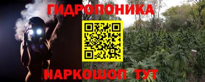 молекула духа Обнинск
