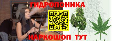 молекула духа Обнинск