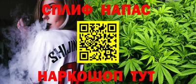 дживик Новозыбков