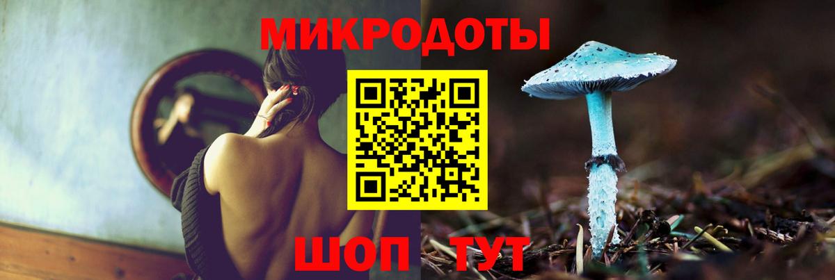 Рузаевка  где купить наркотик  Вход с VPN  Галлюциногенные грибы GOLDEN TEACHER  Псилоцибиновые грибы Psilocybine cubensis 